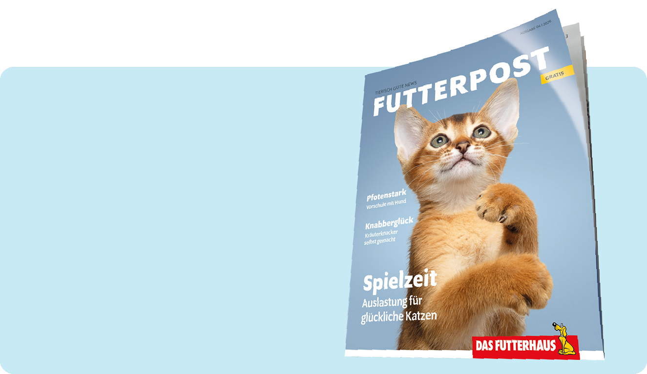Zur Futterpost