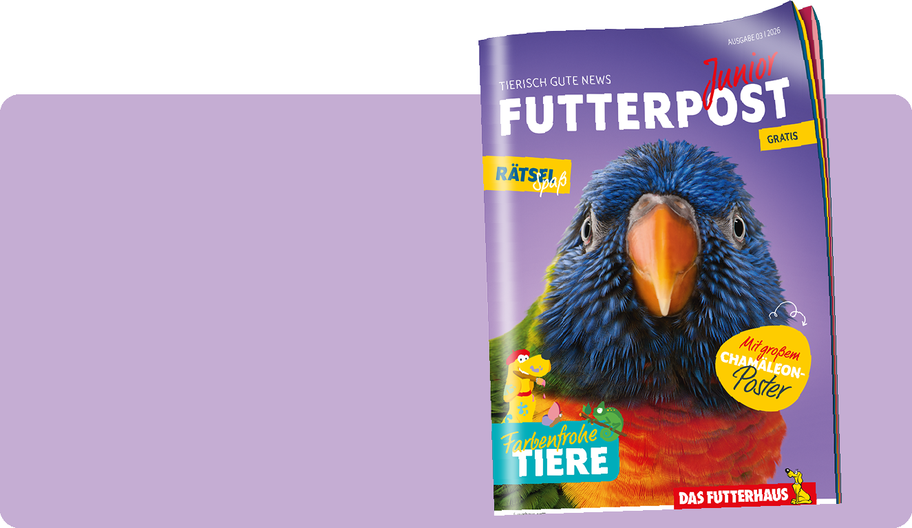 Futterpost Junior