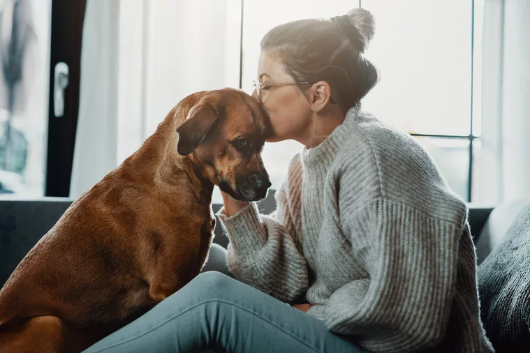 Kranker Hund wird umsorgt