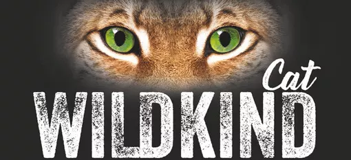 Wildkind Katze