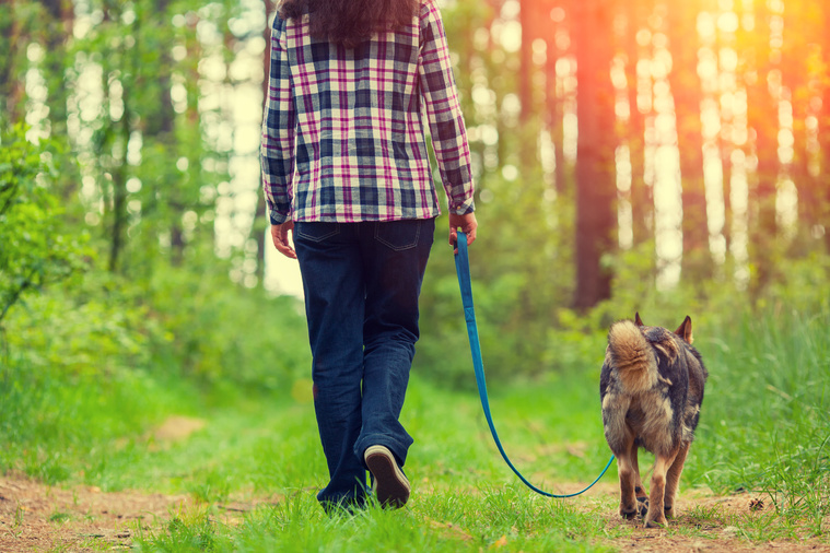 Mann_mit_Hund_im_Wald