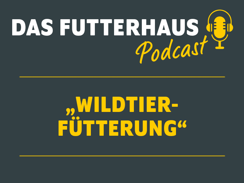 Das Futterhaus Podcast Wildtier-Fütterung