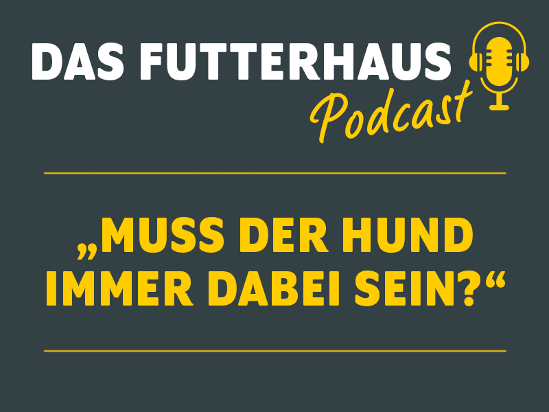 DAS FUTTERHAUS Podcast Folge 23: Muss der Hund immer dabei sein?